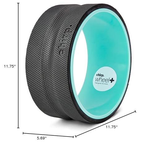 Mint Old World Hub Chirp Wheel foam roller for back, neck pain relief, muscle massage, and stretching therapy.