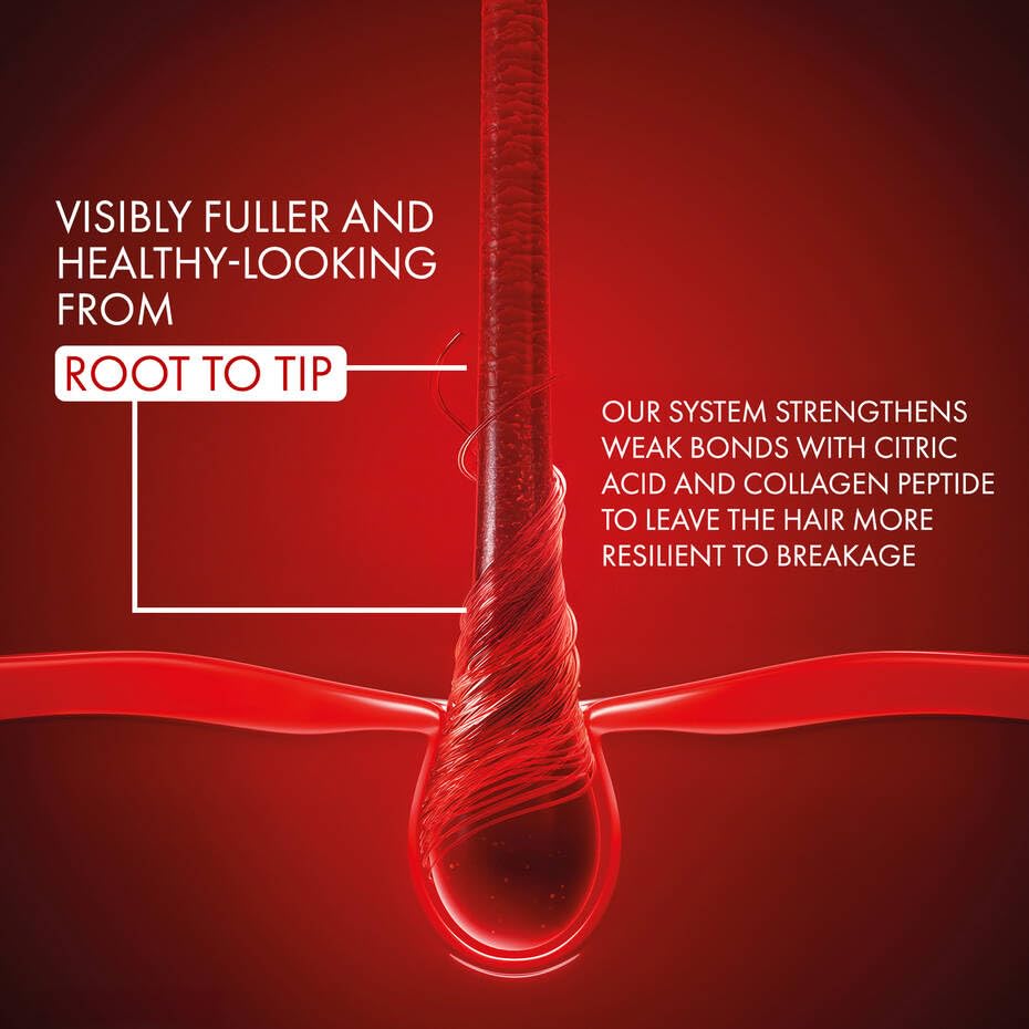 Old World Hub Dercos Collagen Peptide 17 Ultra-Repairing Treatment bottle, 150ml, anti-hair fall pre-shampoo bond repair treatment.