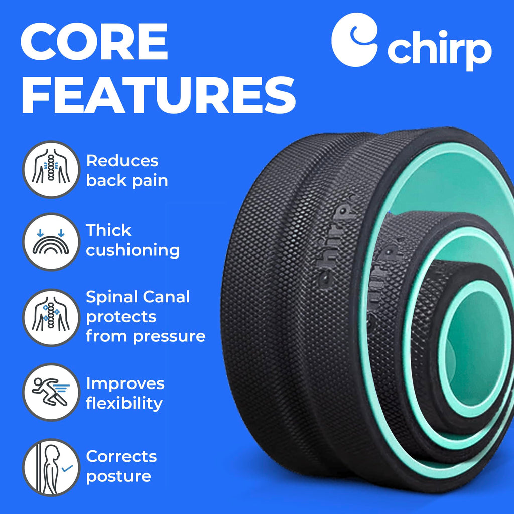 Mint Chirp Wheel foam roller by Old World Hub for back and neck pain relief, muscle massage, and stretching exercises.