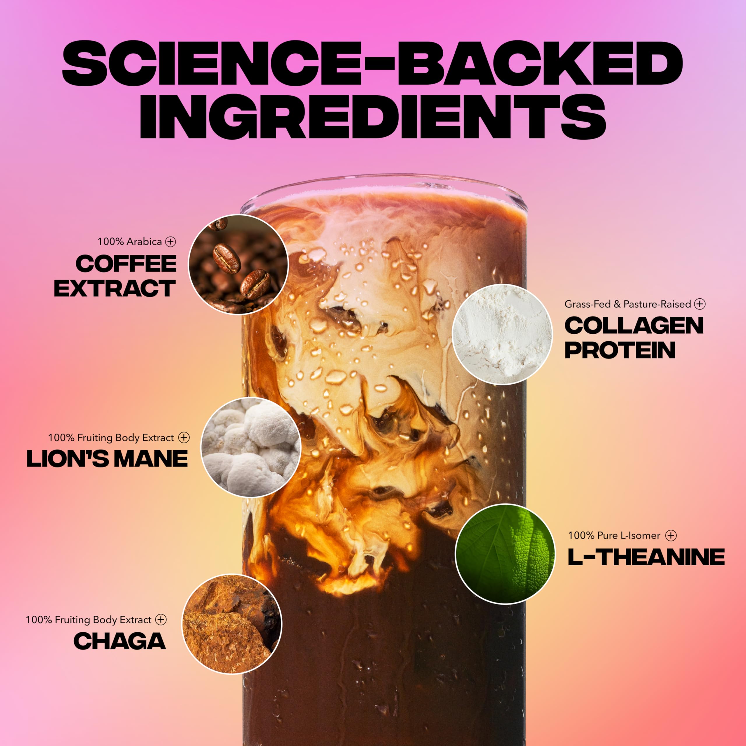 Old World Hub Everyday Dose mushroom coffee with collagen, Chaga, Lions Mane, and L-Theanine for focus, energy, and immunity.