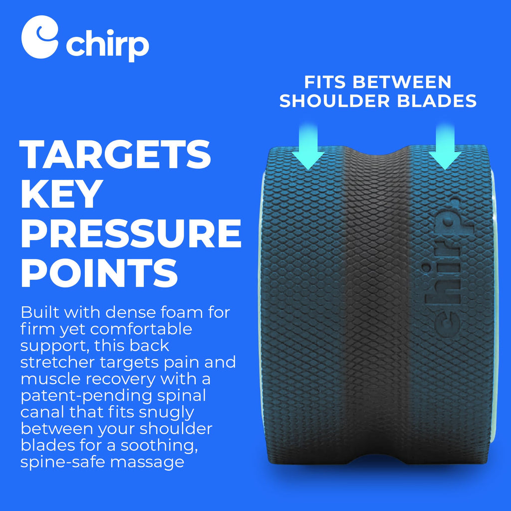 Mint-colored Old World Hub Chirp Wheel foam roller for back, neck pain relief, muscle massage, and trigger point therapy.