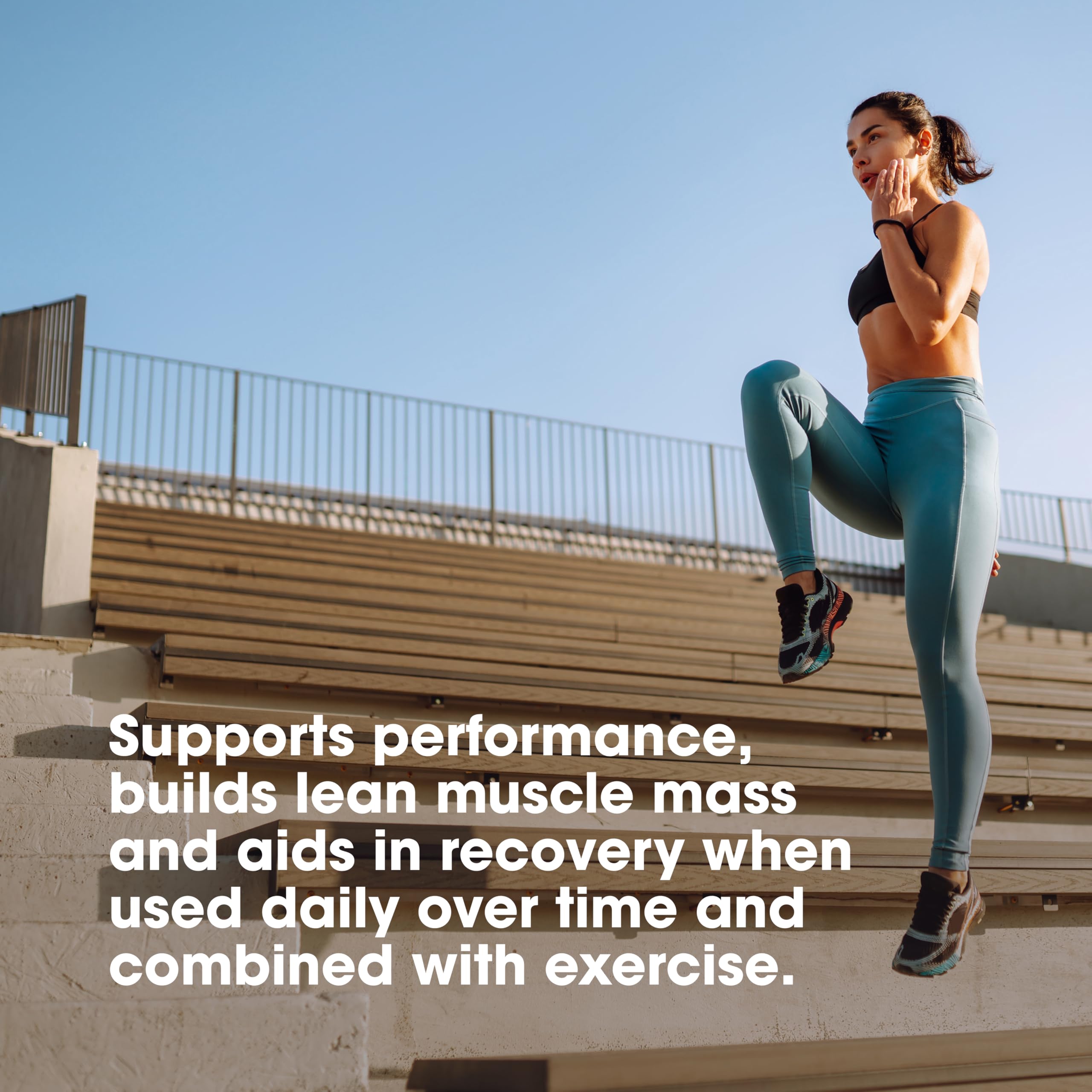 Old World Hub Optimum Nutrition Micronized Creatine Monohydrate powder in unflavored form, 300g package with 60 servings.